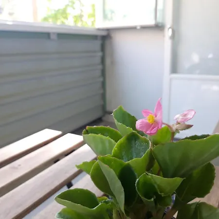 Peaceful In Apartamento