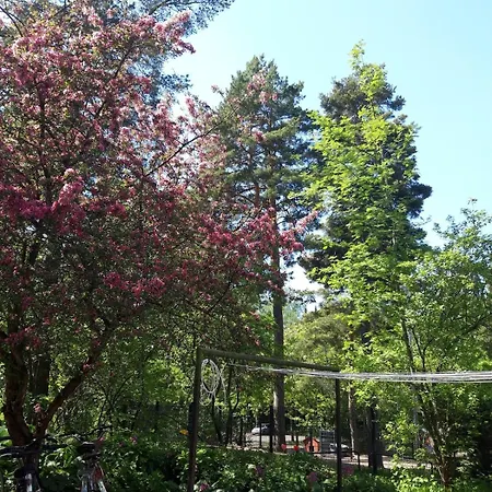 Peaceful In *