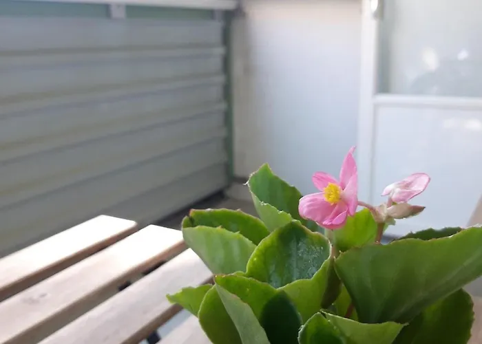 Peaceful In Apartamento